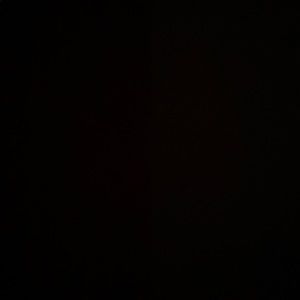 Meet your Posher, Rosie